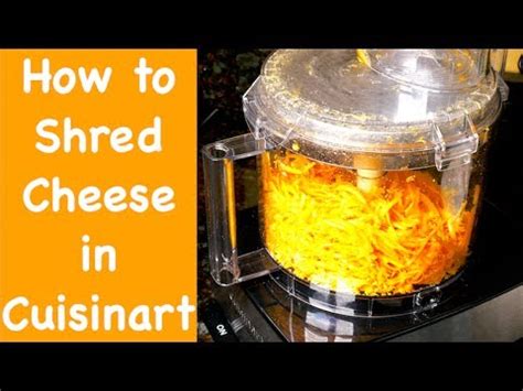 Can You Shred Cheese in a Food Processor? And Why Does Cheese Sometimes Feel Like a Philosophical Dilemma?