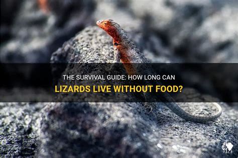 How Long Can Lizards Go Without Food: A Dive into the Mysteries of Reptilian Survival