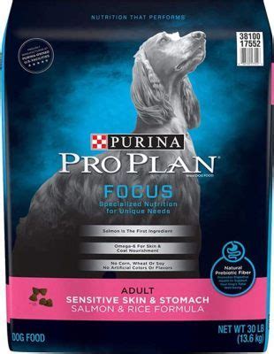 Is Authority Dog Food Good? Exploring the Myths and Realities of Canine Nutrition